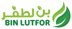 Bin Lutfor Logo Minified